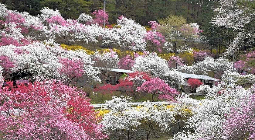 Hotel Yamabuki