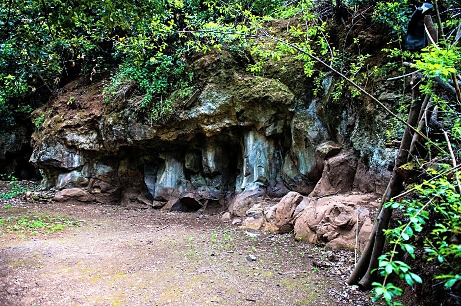 Vila Maria Quinta 13 " Maria Quinta"