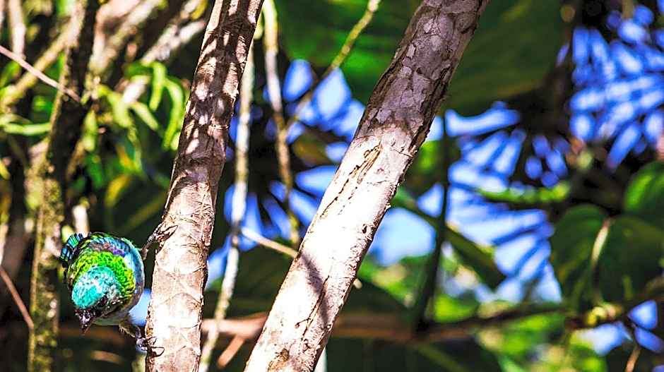 Pousada Casalinda Camburi