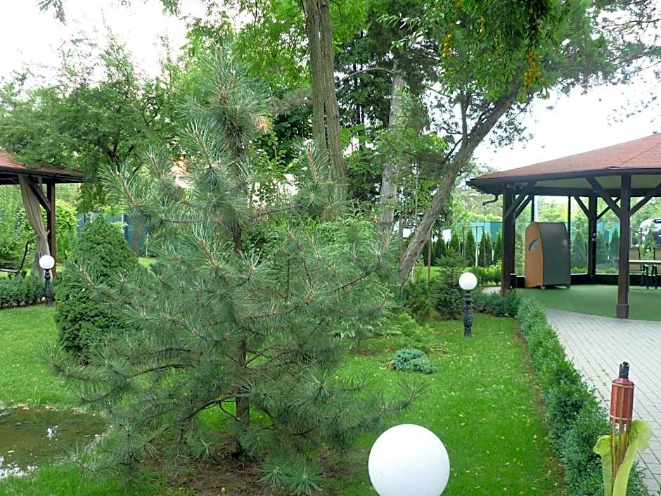 Hotel Baneasa Parc