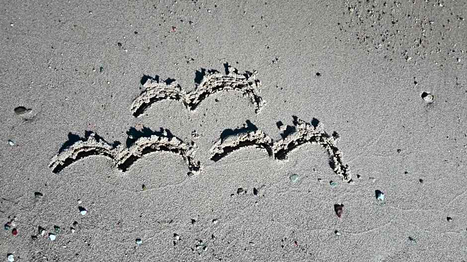 Przystań Mechelinki- Marina Del Mar