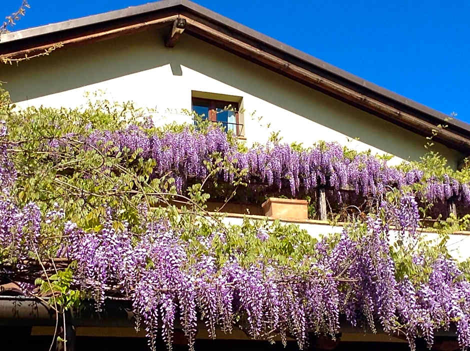 Casa Tentoni - Guest House