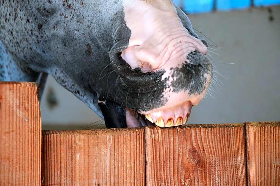 CoHousing Gut Dürnhof