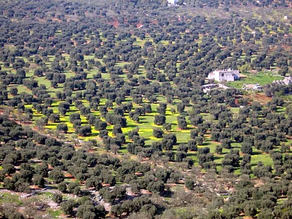 I Trulli Di Acquarossa