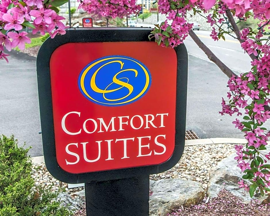 Comfort Suites Monroeville