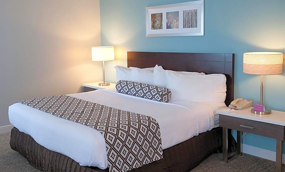 Photo 1 of 3 of Standard 1 King Bed