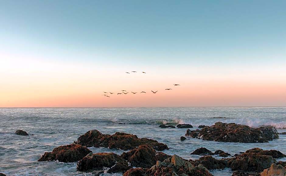 Oceanpoint Ranch