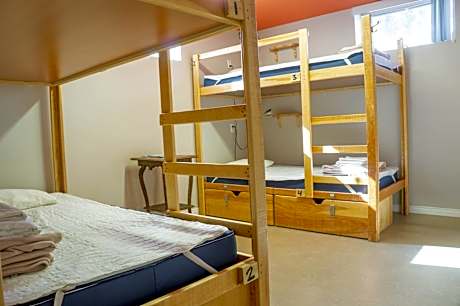 Single Bed in Mixed Dormitory Room