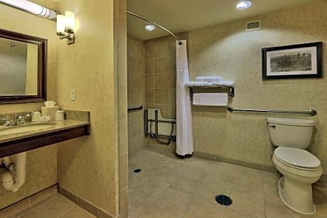 1 King Suite Mobility Hearing Accessible 3X3 Shower
