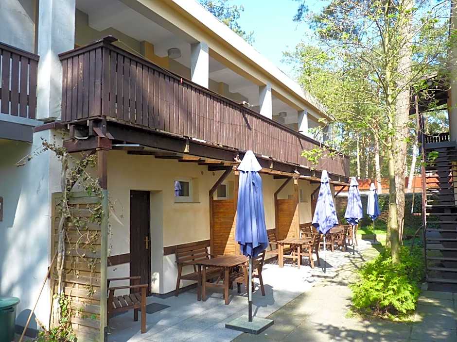 Ośrodek Wypoczynkowy W sosnowym lesie