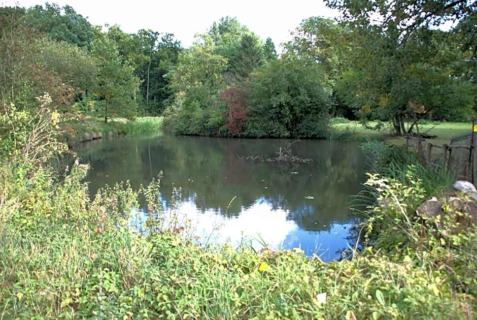 AKZENT Land-Hotel Zum Schwan, Garni WEILERSWIST-METTERNICH, 3 E-LADESTATIONEN, Nähe PHANTASIALAND, PALMENPARADIES Euskirchen