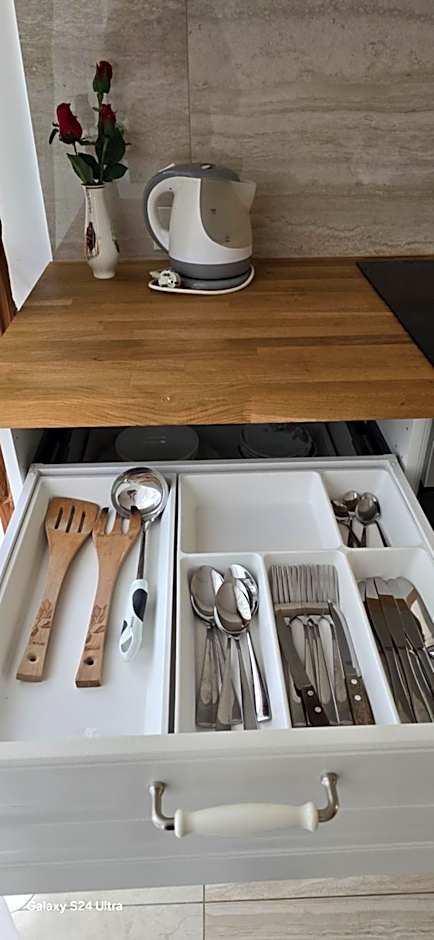 Apartamentai šalia baseino