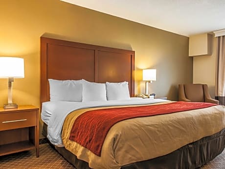 1 King Bed, Nonsmoking