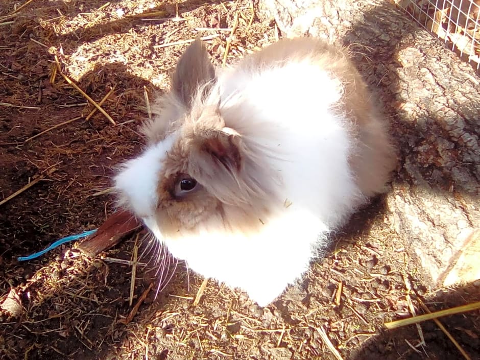 Havre de paix au bords de l'Eure - divers hébergements