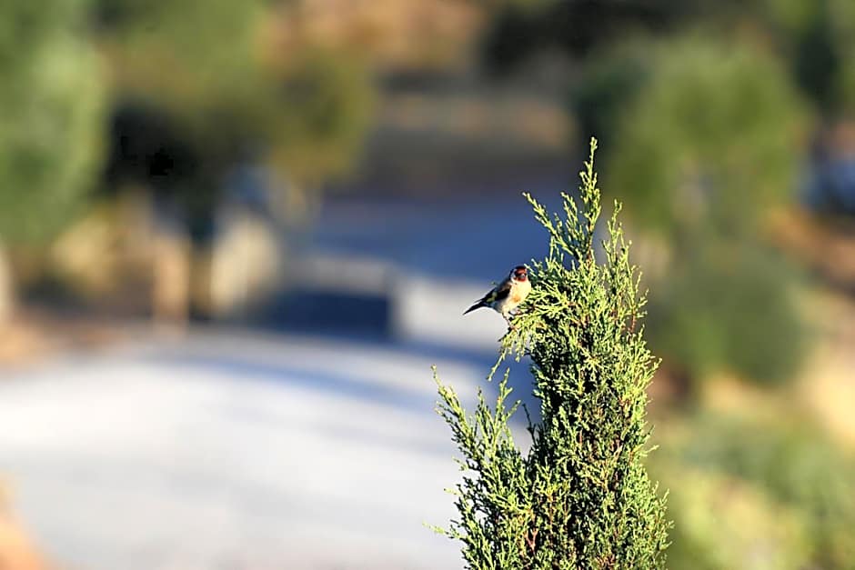 Vistas - Herdade do Zambujal
