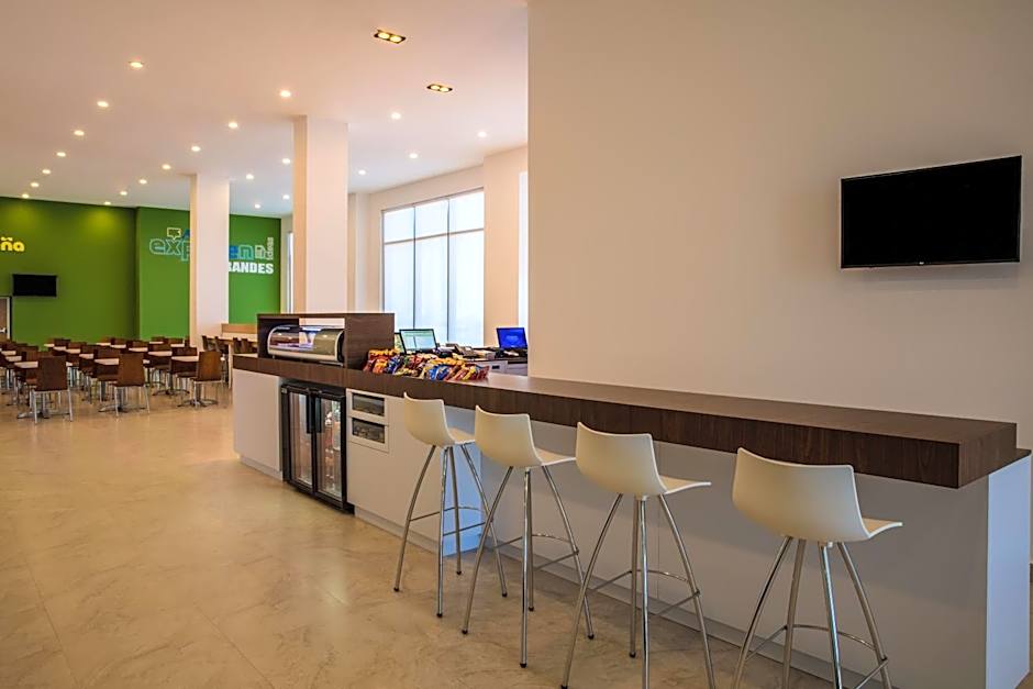 One Chihuahua Fashion Mall