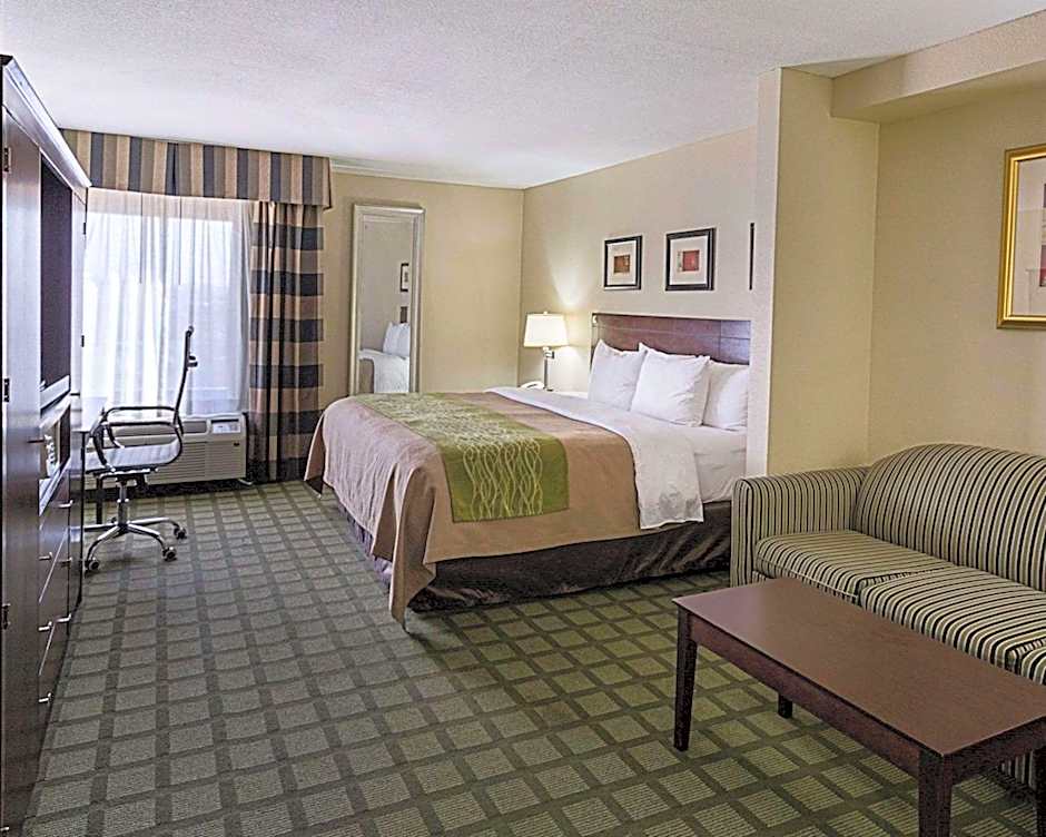 Comfort Inn Southwest Fwy at Westpark