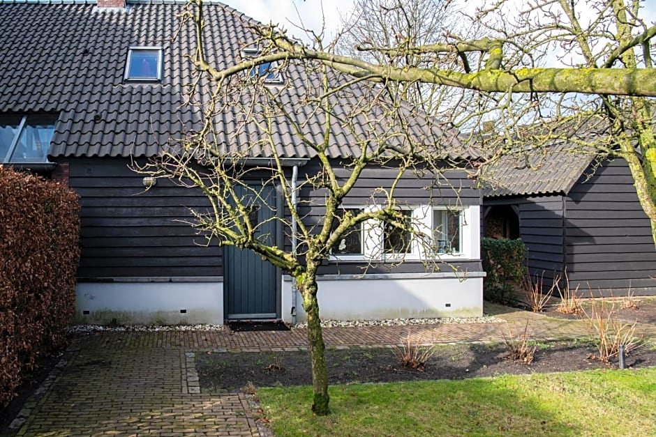 Aan het Dijksteegje B&B - Logies