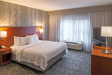 1 Bedroom 2 room Suite, 1 King, Sofa bed
