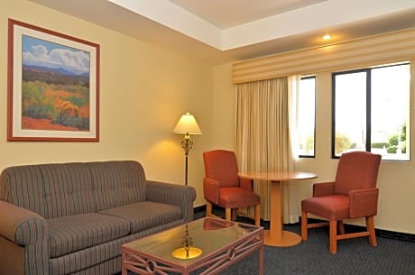 Suite-1 King Bed, Non Smoking Room, High Speed Internet Access, Wet Bar, Microwave And Refrigerator,