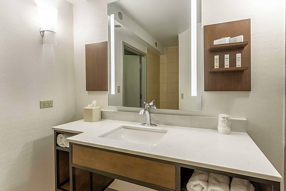 Hilton Garden Inn Tinley Park