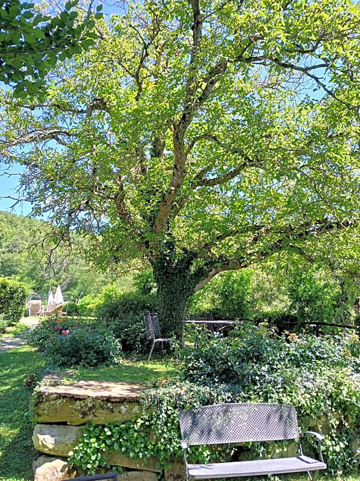 La Tavola Dei Cavalieri