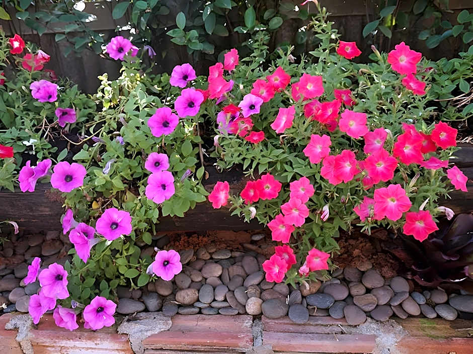 Chompu Nakarin Apartment