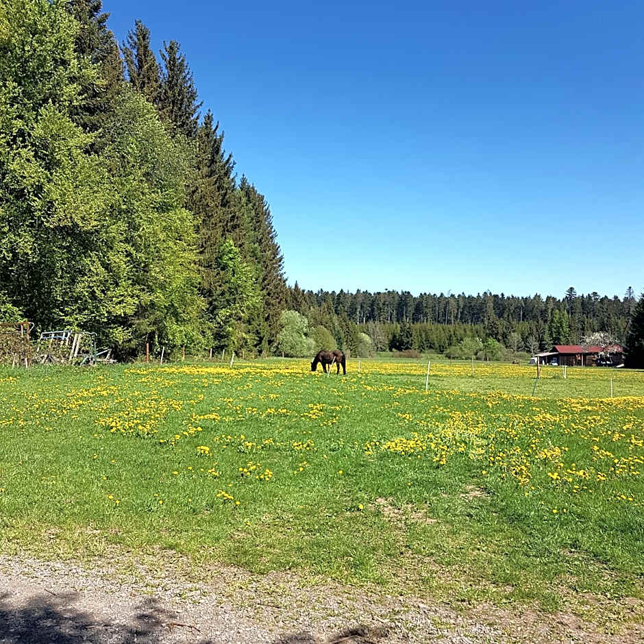 Landgasthof Ritter