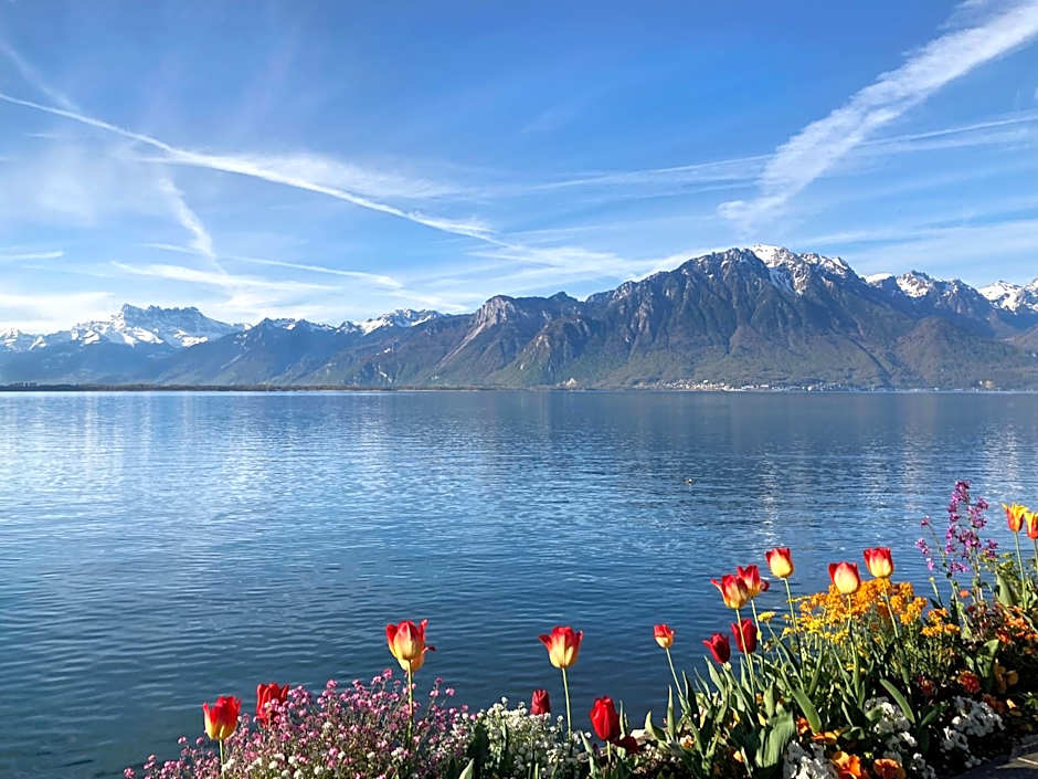 Royal Plaza Montreux & Spa