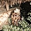 Vila Cerrado