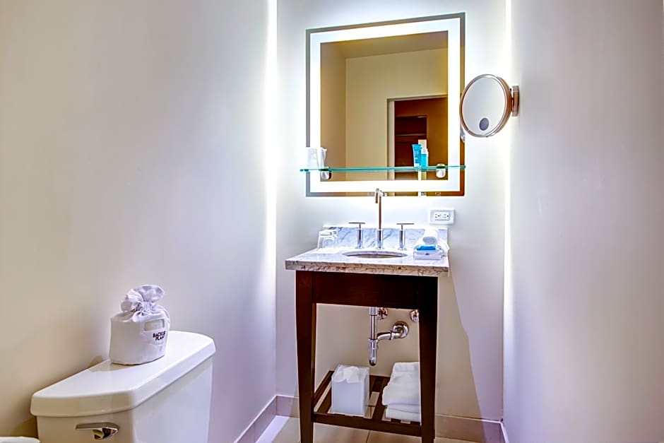 The Midland Hotel, Chicago, a Tribute Portfolio Hotel