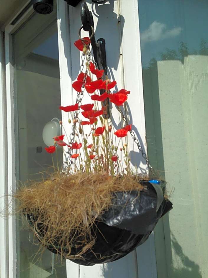 Lynebank House Hotel, Bed & Breakfast