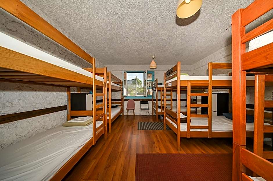 Photo 1 of 4 of Single Bed in 10-Bed Dormitory Room