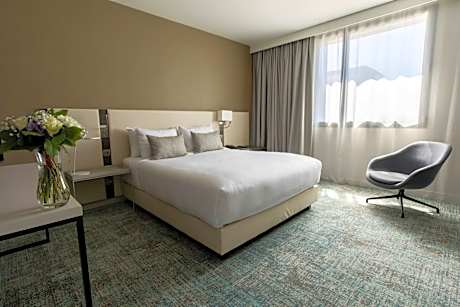 1 Bedroom Suite, 1 Queen, Sofa bed