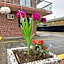 Canadas Best Value Inn & Suites Vernon