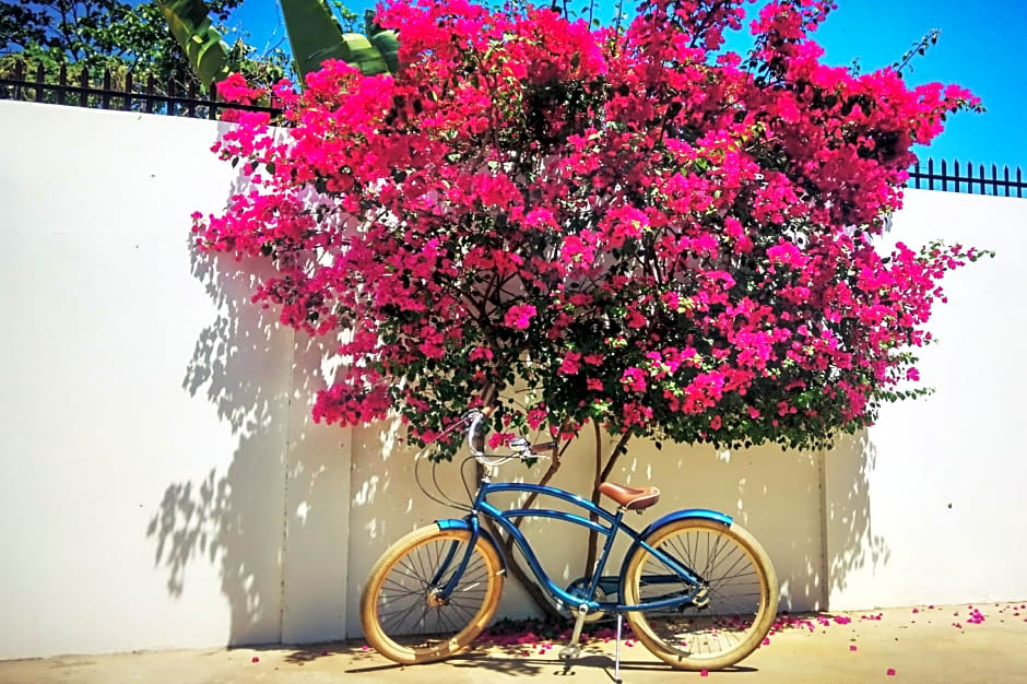 Villa Kalachuchi V.K