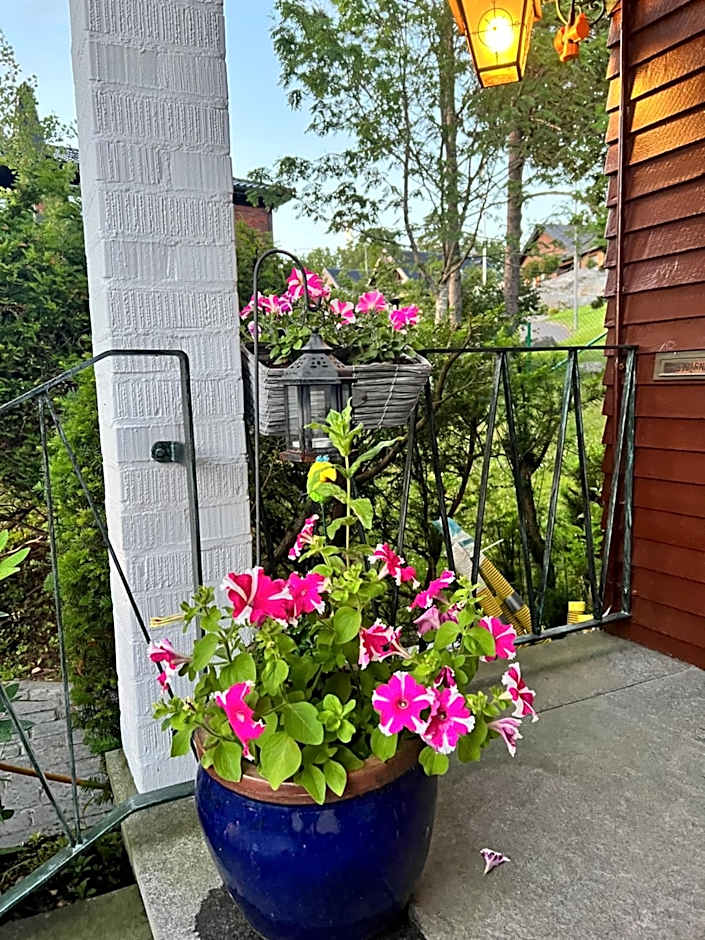 Lugnt och centralt läge