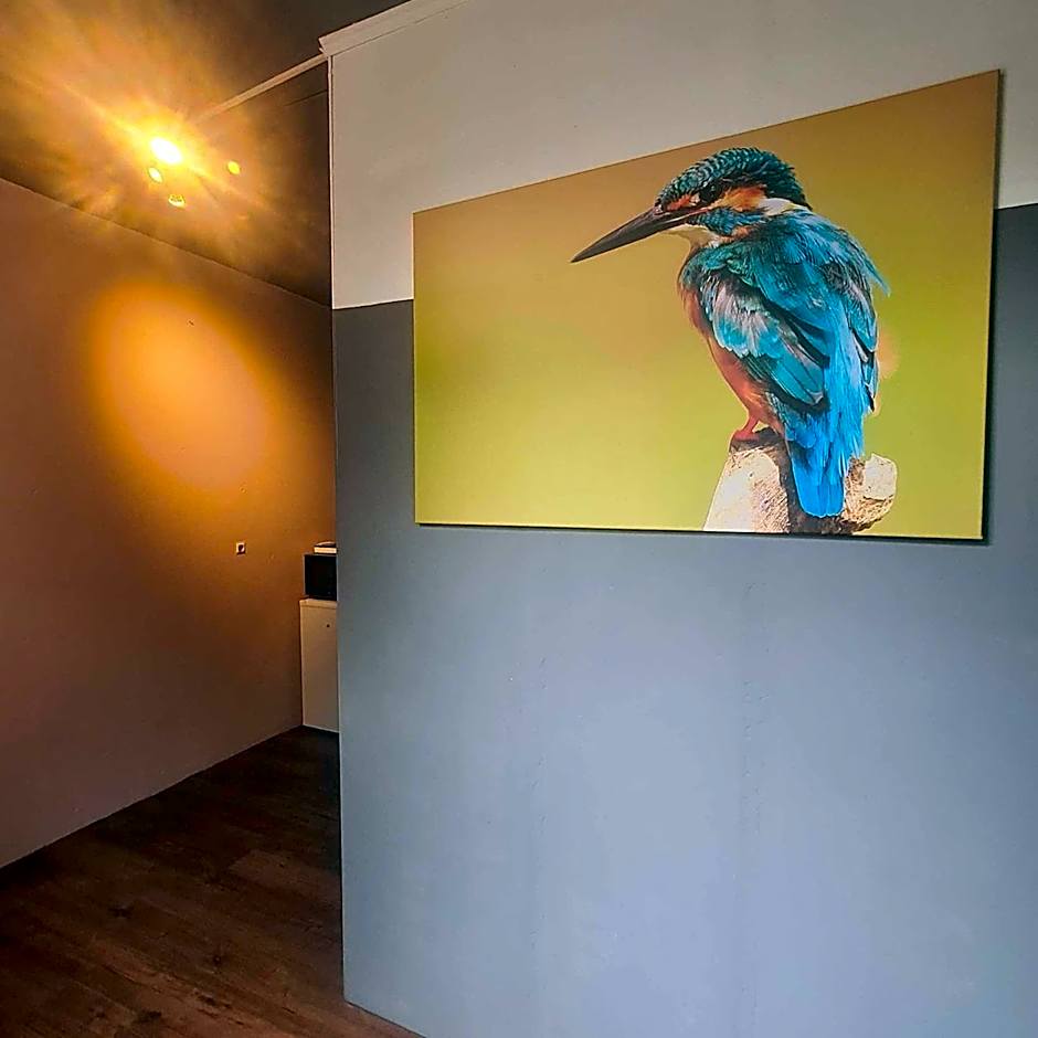 Feel at Home - Holiday Studio
