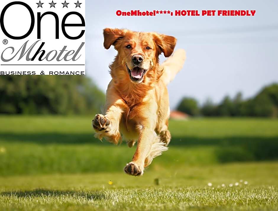 OneMhotel