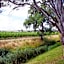 Vine Inn Barossa