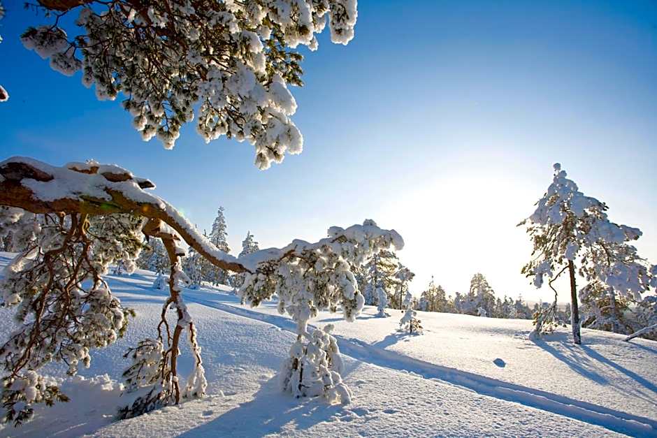 Arctic Light Hotel