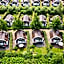 Europarcs Koningshof