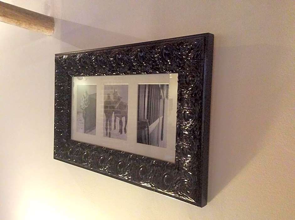 Paardenhof Guesthouse