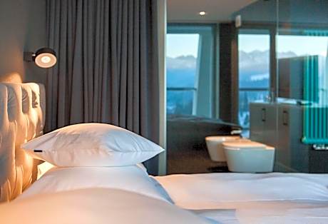 Panoramic Mountainview Double Room