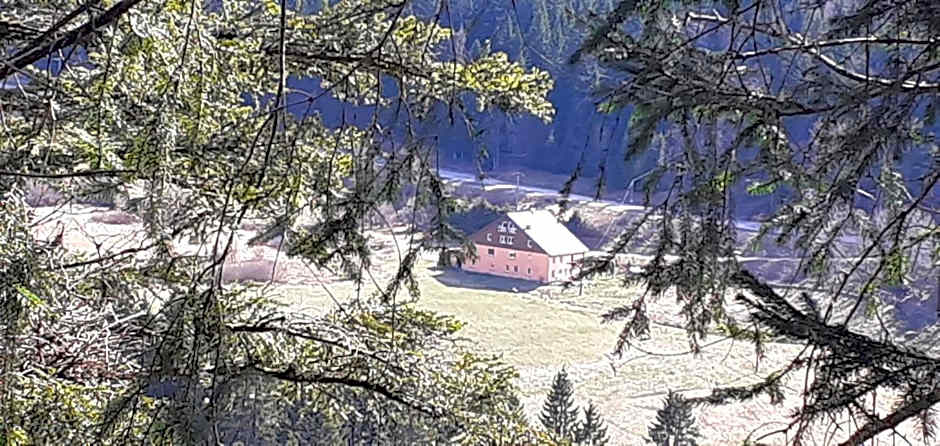 Domaine Des Hauts Viaux