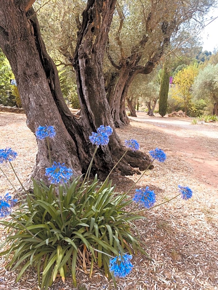 Bastide Sainte Trinide