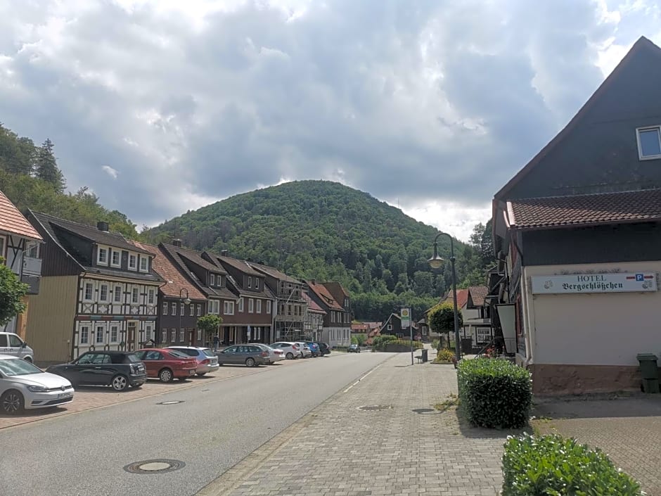 Hotel and Restaurant Bergschlösschen