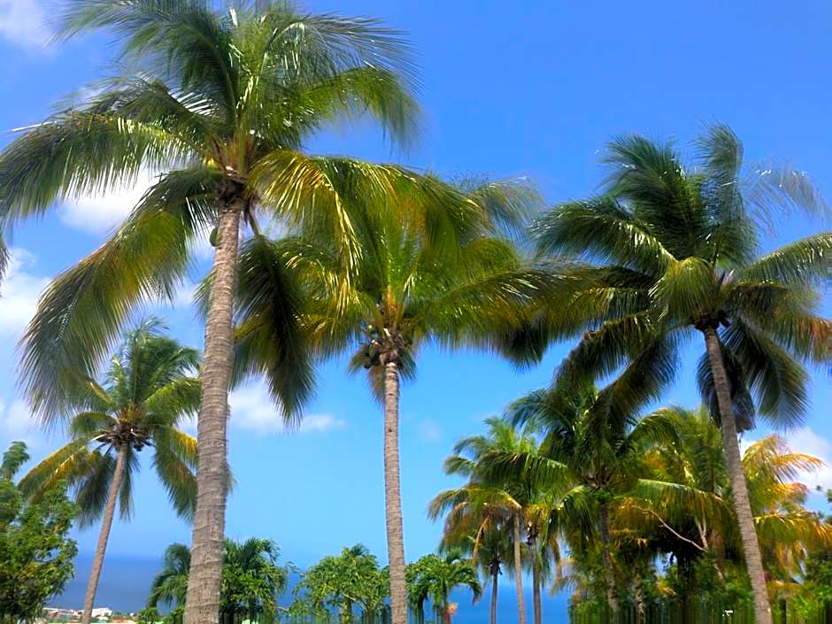 Résidence Paradis Tropical