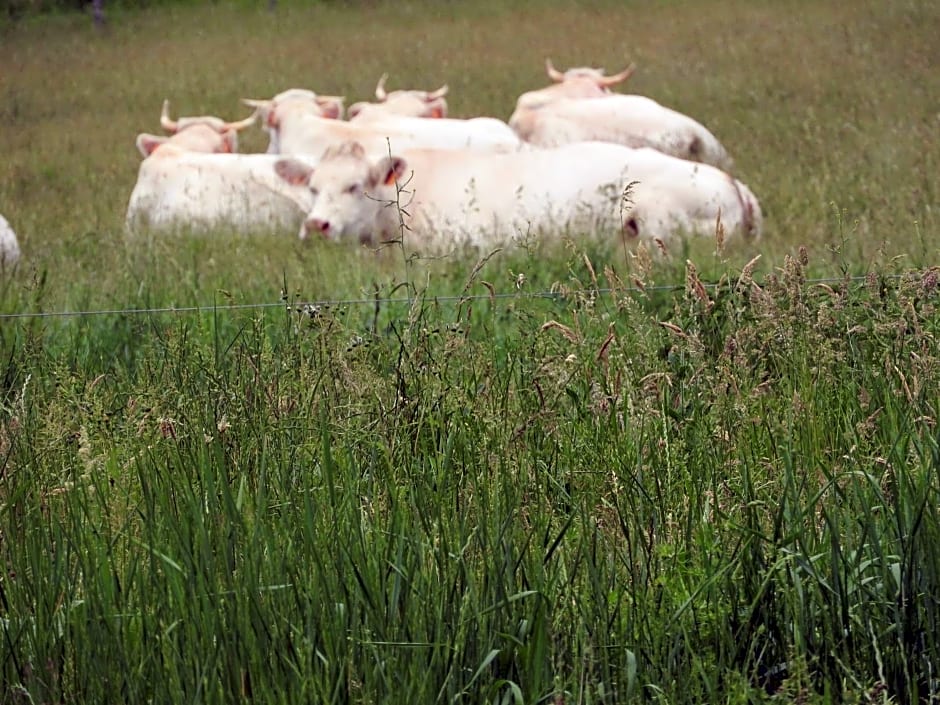 Domaine de Laverchère