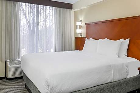 King Room with Sofa Bed and Accessible Tub - Disability Access